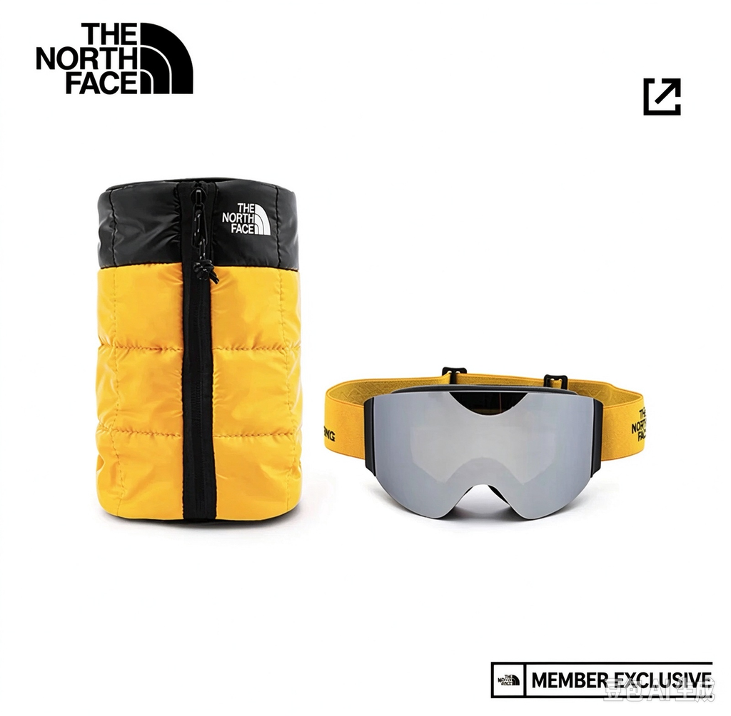The North Face Ski Goggles with Pouch